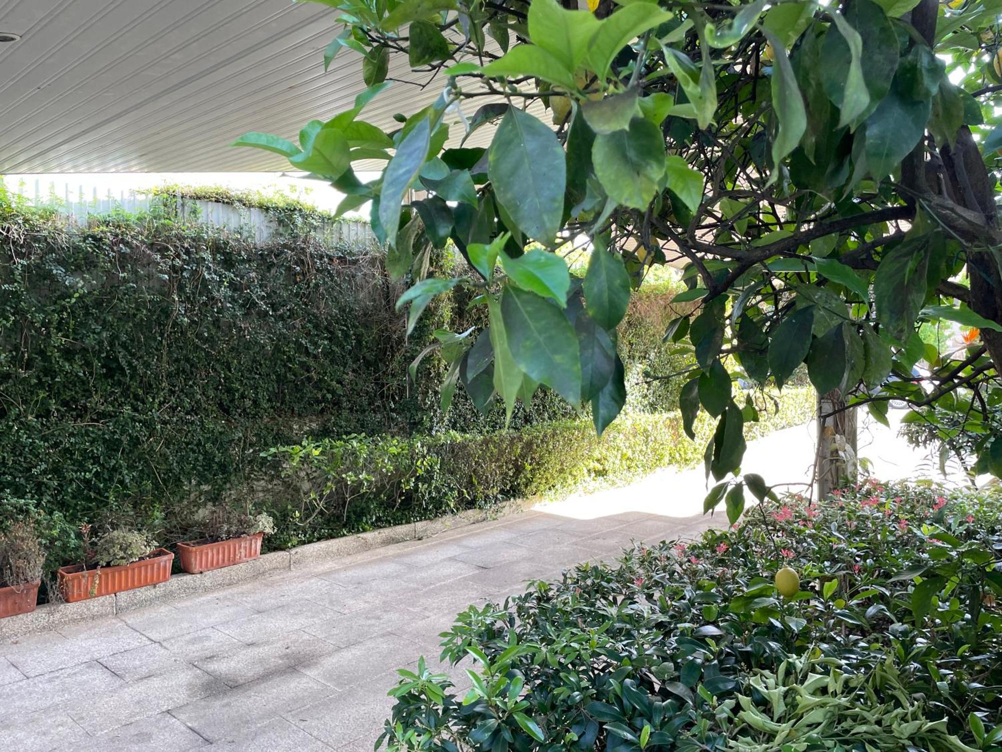 Casa Do Paco Villa Guimaraes Ngoại thất bức ảnh